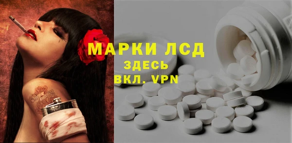 стафф Новодвинск