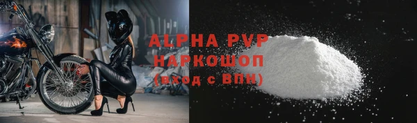 стафф Новодвинск