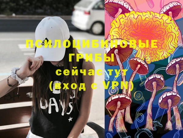 стафф Новодвинск