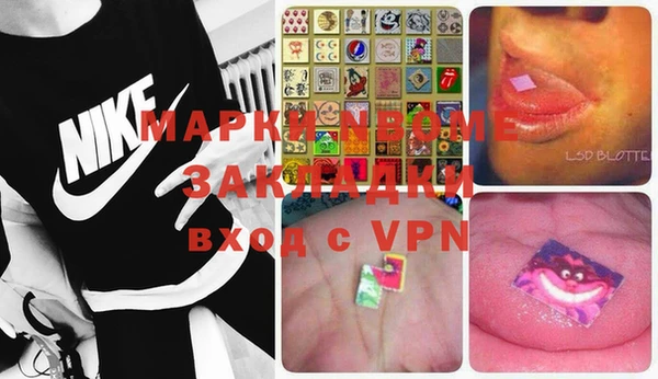 ECSTASY Новозыбков
