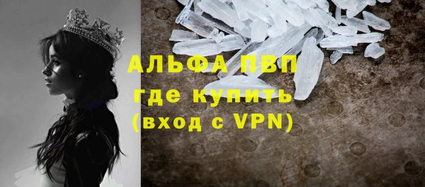ECSTASY Новозыбков